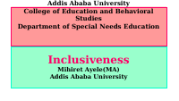 Chapter 4 - FINAL Promoting Inclusive Culture.pdf